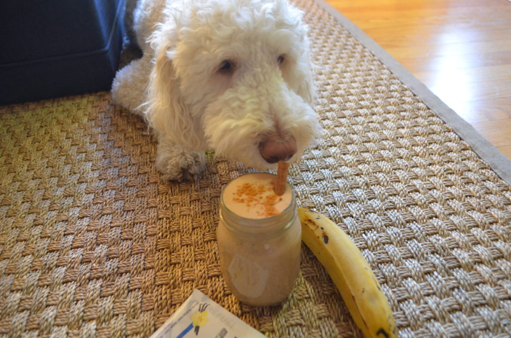 Plant-Based Peanut Butter and Chocolate Shake - Plant Based Pros