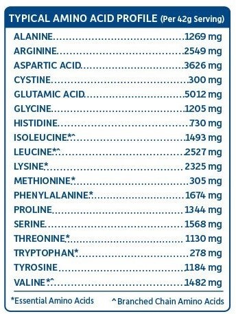 Garden of Life Plant-based Protein - Amino Acids