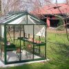 Janssens Royal Victorian VI 23 Greenhouse 8ft x 10ft - Image 4